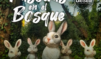 CRONOGRAMA DE �PASCUAS EN EL BOSQUE�